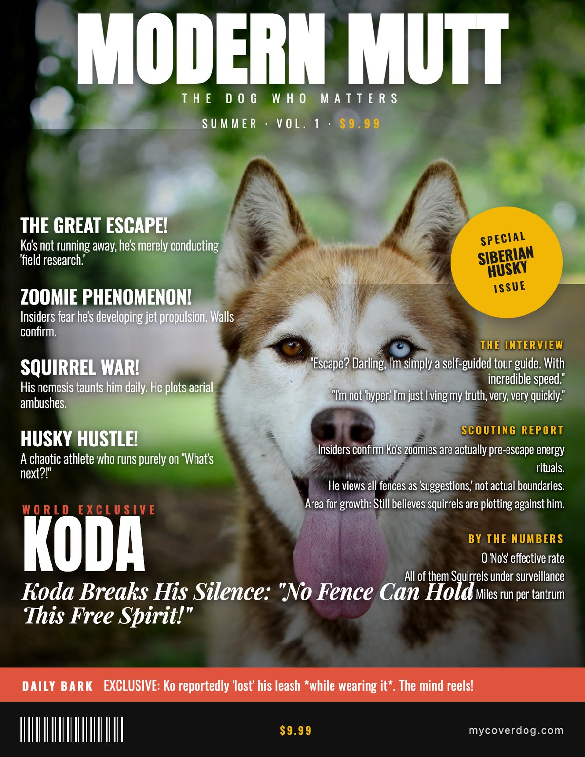 Koda on the cover of Modern Mutt